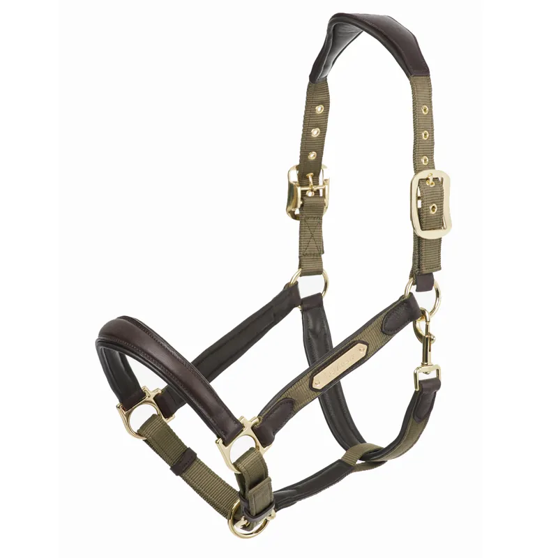 LeMieux Capella Headcollar - Forest